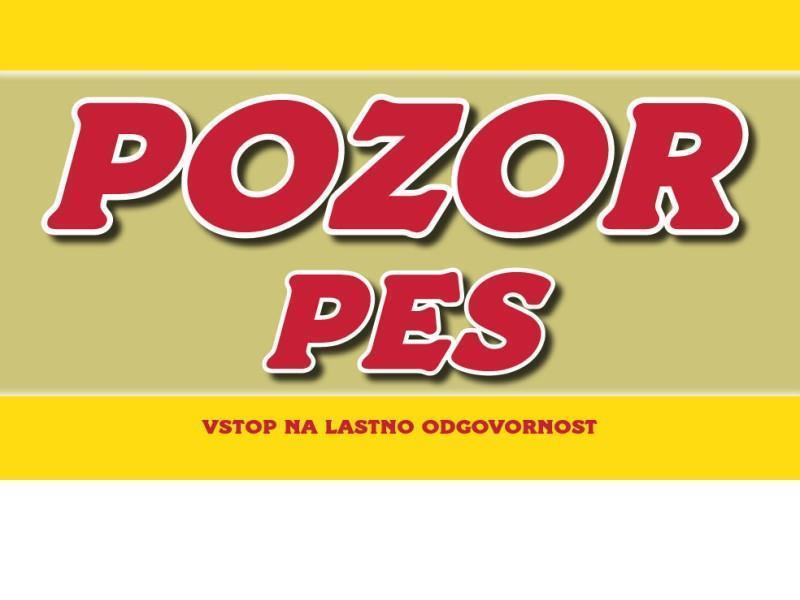 POZOR PES