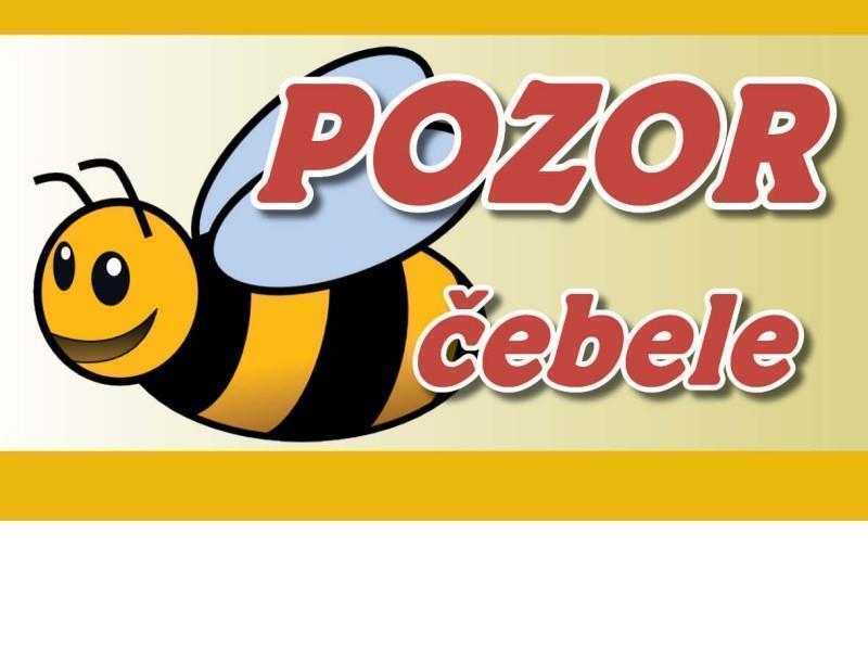 POZOR ČEBELE