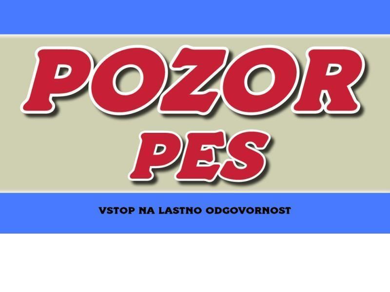 POZOR PES