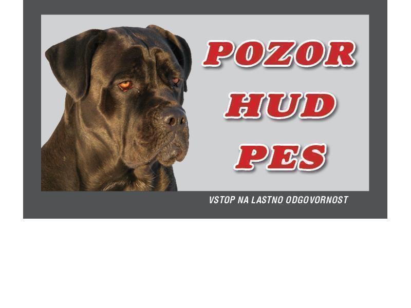 CANE CORSO