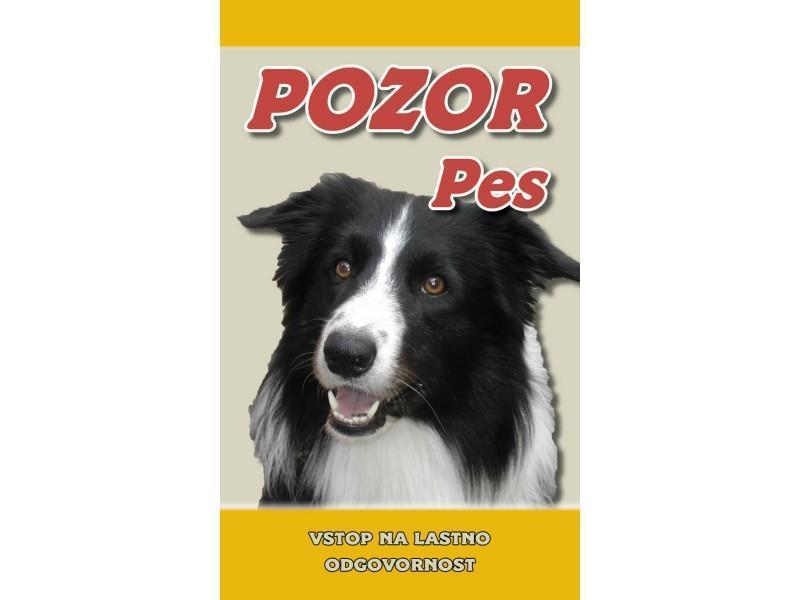 Borderski ovčar - Border Collie