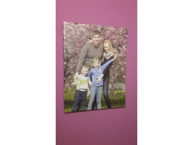 Slika na platnu, družinski portret