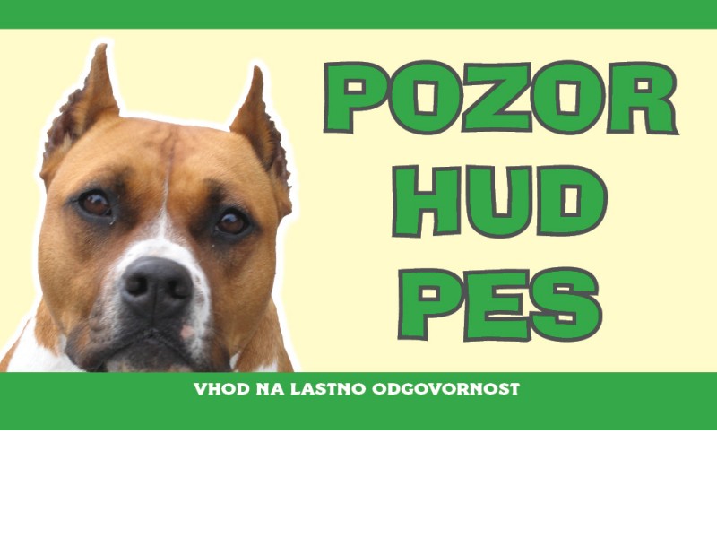 POZOR HUD PES Ameriški stafford
