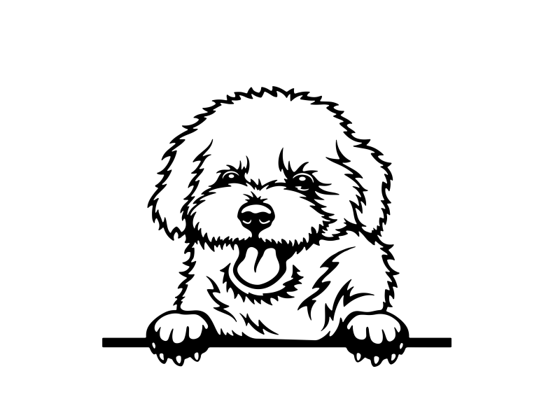 Nalepka pes Bichon Frise