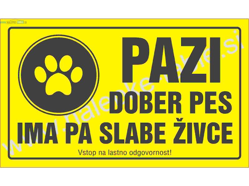 PAZI DOBER PES IMA PA SLABE ŽIVCE
