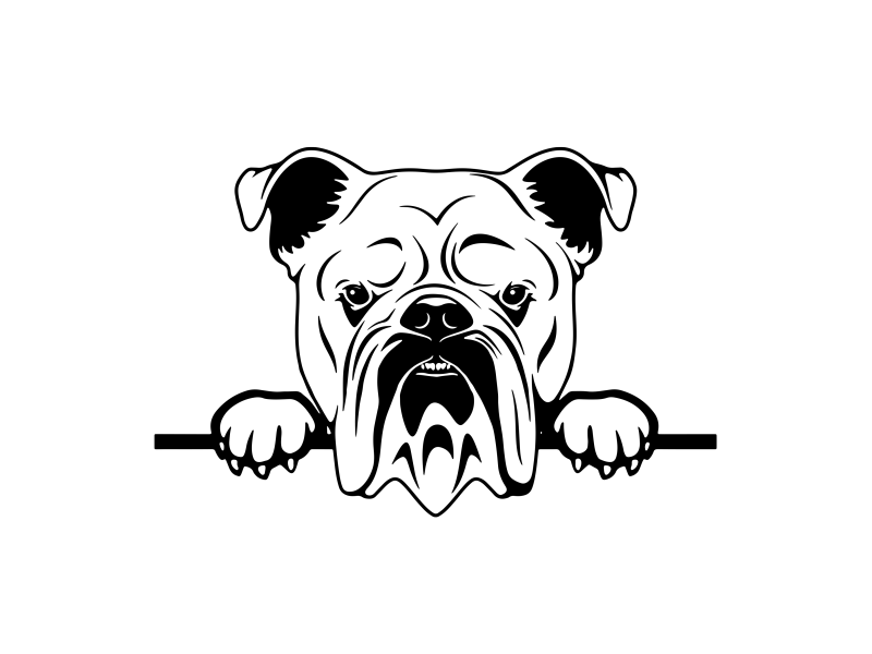 Nalepka pes Angleški bulldog