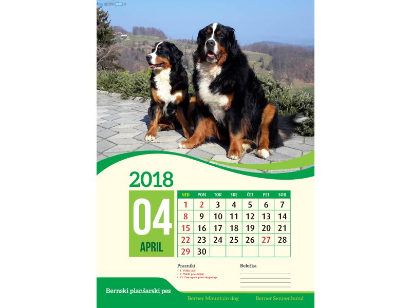 KOLEDARJI PO NAROČILU 2020