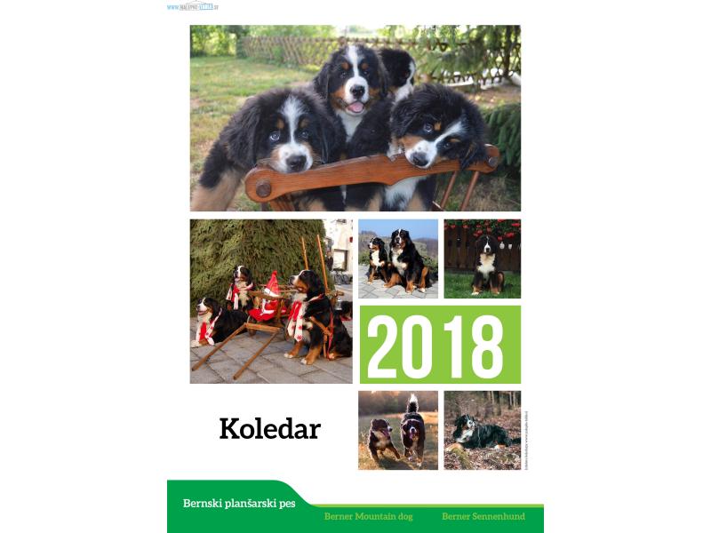 KOLEDARJI PO NAROČILU 2020