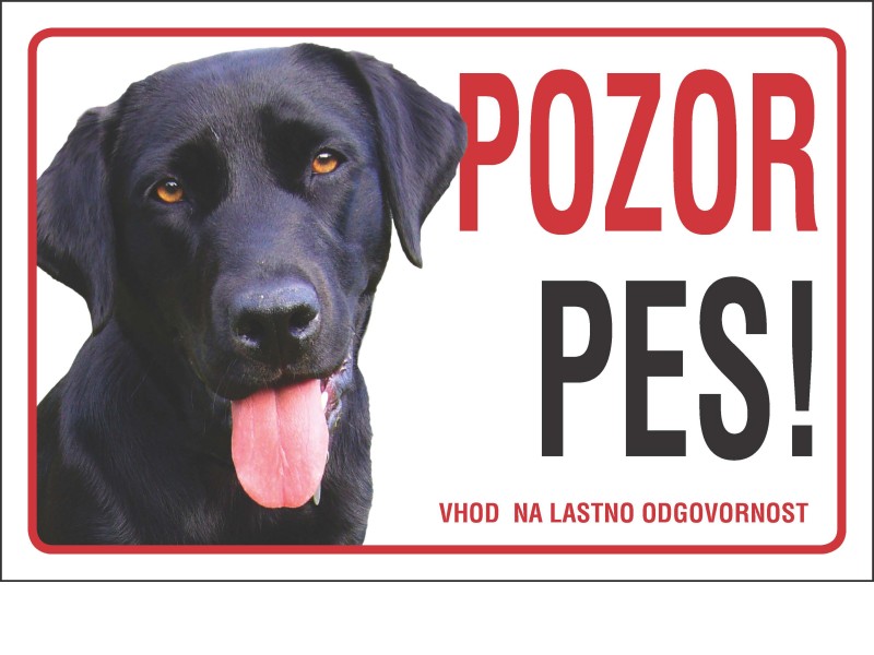 LABRADOREC ČRN