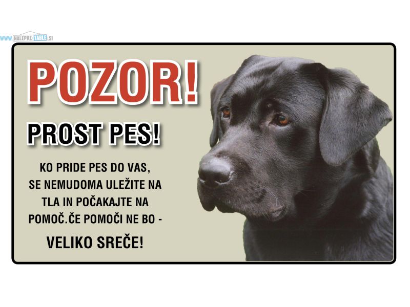POZOR PROST PES LABRADOREC ČRN