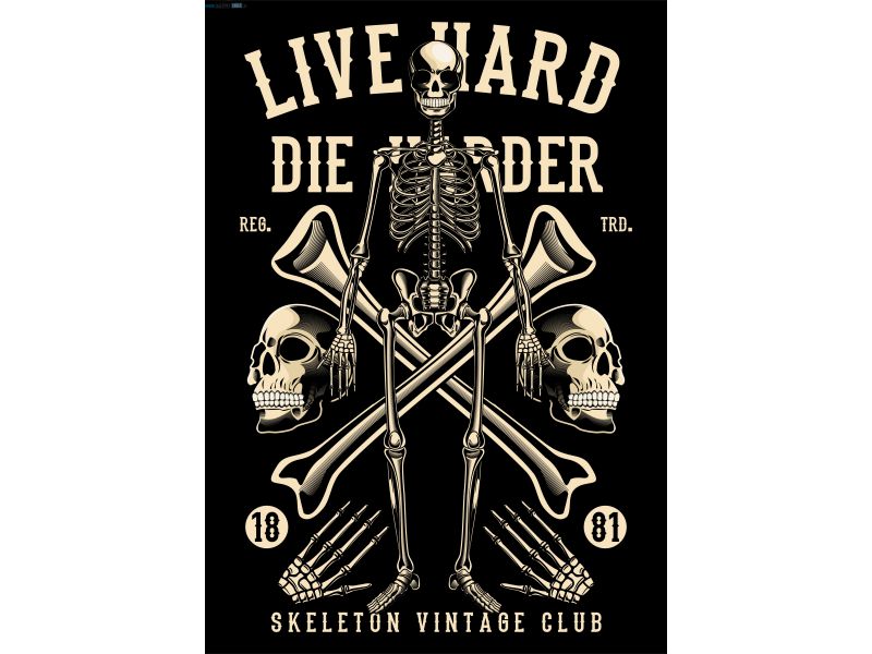 Live Hard Die Harder