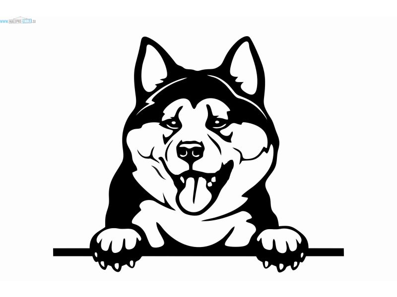 Nalepka pes Akita