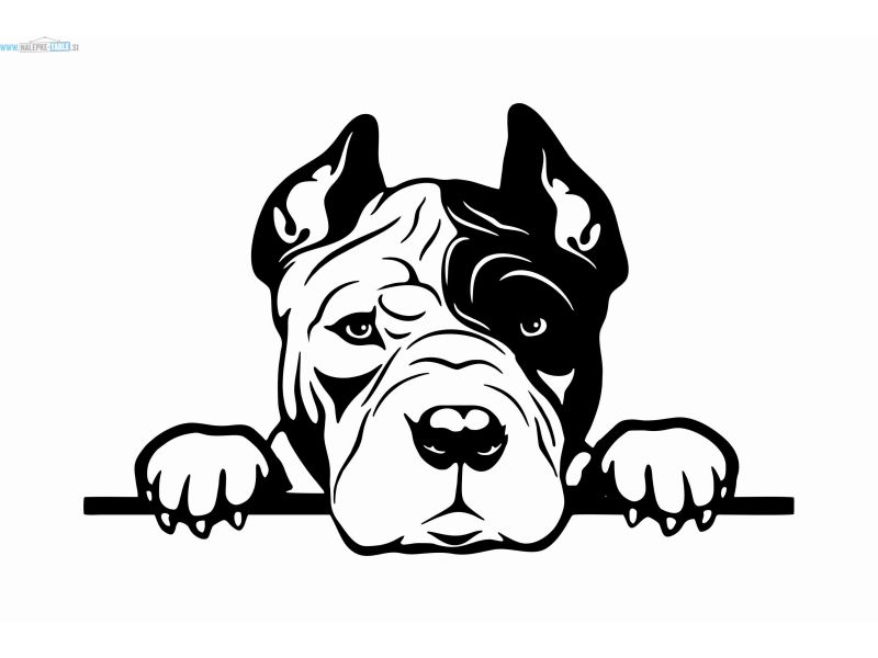 Nalepka pes Ameriški pitbull