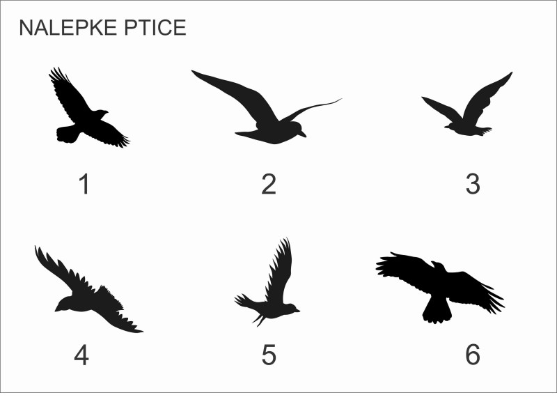 Nalepke ptice za na steklo