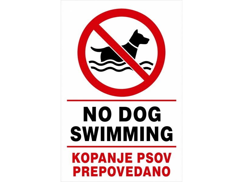 No dog swimming