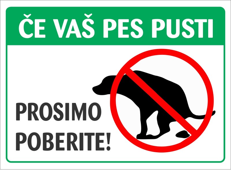 Poberite za svojim psom