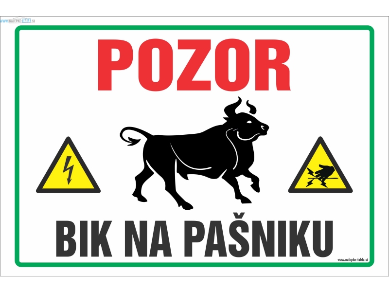 Pozor bik na pašniku