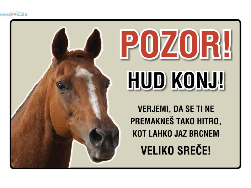 POZOR KONJ