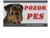 POZOR PES