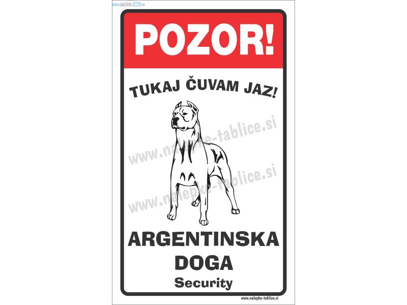 Argentinska doga pokončna