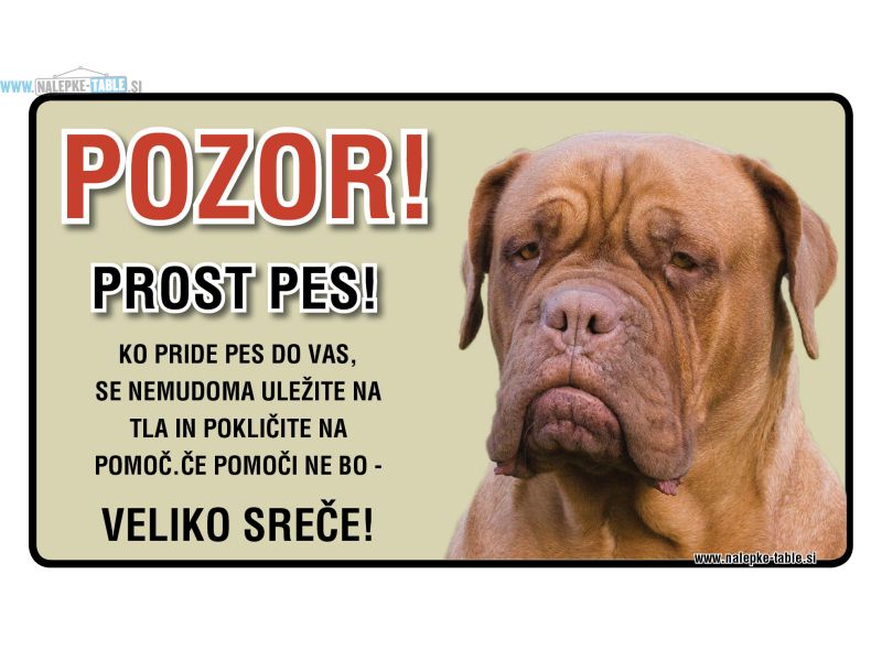 POZOR PROST PES Bordojska doga