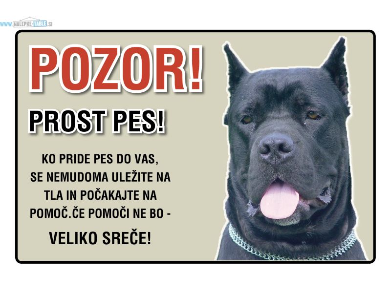 POZOR PROST PES Cane corso