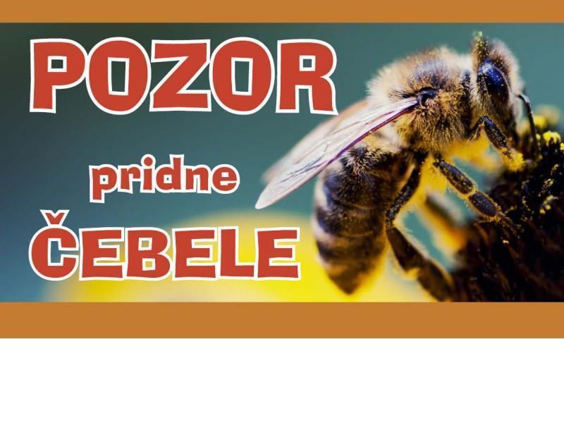 POZOR PRIDNE ČEBELE