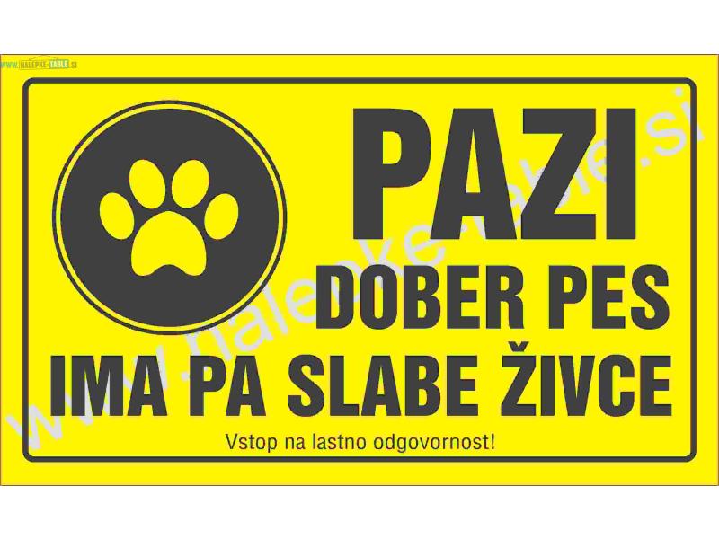 PAZI DOBER PES IMA PA SLABE ŽIVCE