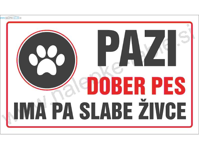 PAZI DOBER PES IMA PA SLABE ŽIVCE