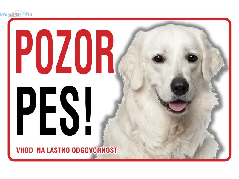 KUVASZ klasika