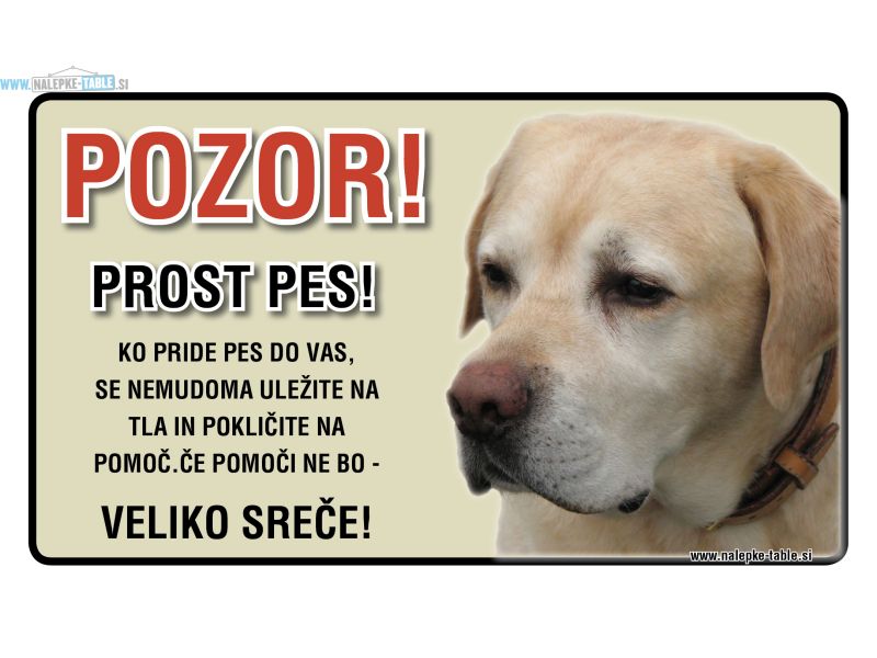 POZOR PROST PES LABRADOREC SVETEL