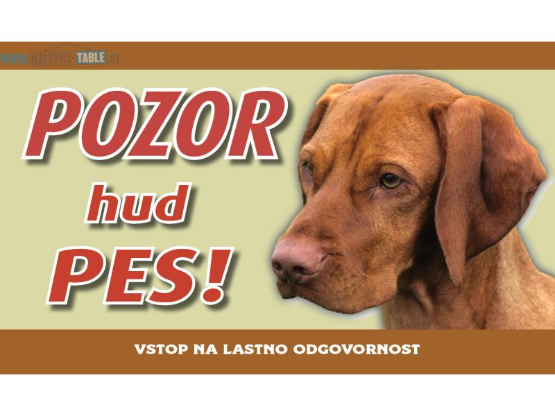Madžarska vižla