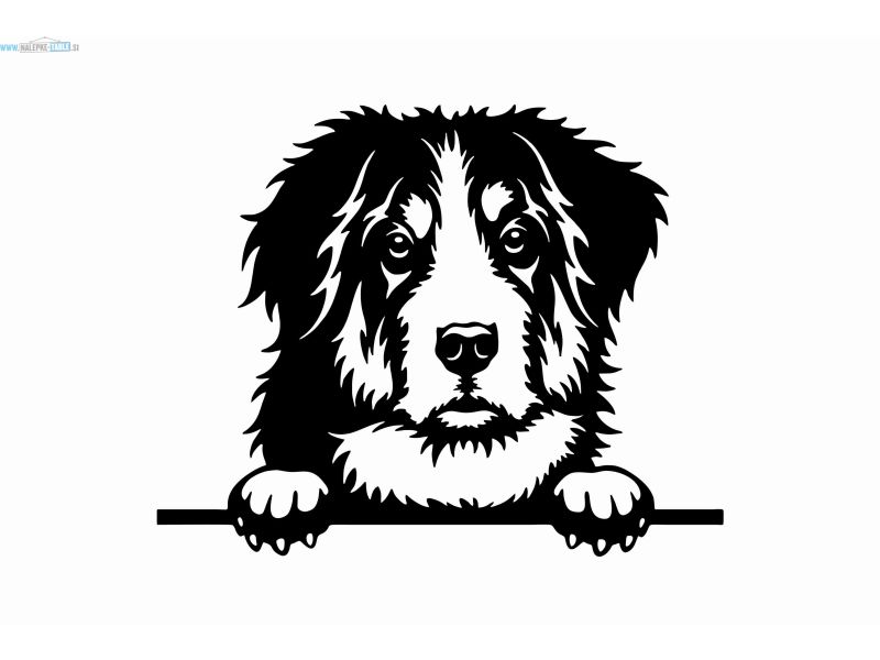Nalepka pes Bernski plansarski pes