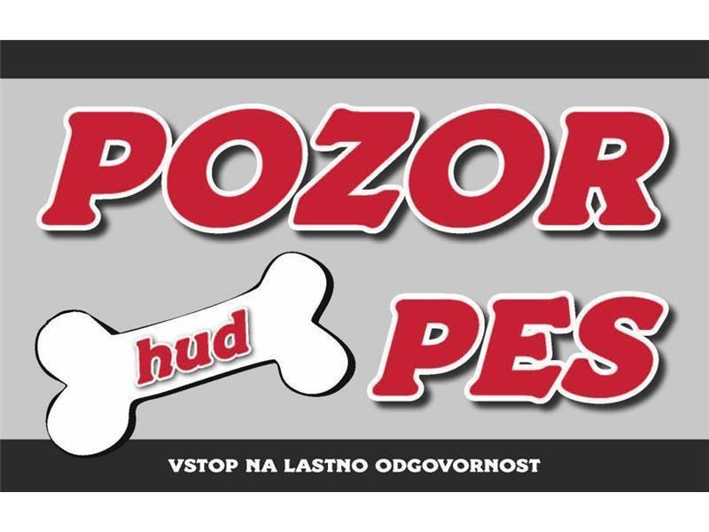 POZOR HUD PES SIVA KOST