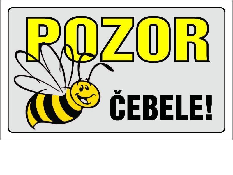 POZOR ČEBELE