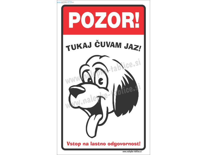 Tukaj čuvam jaz pokončna