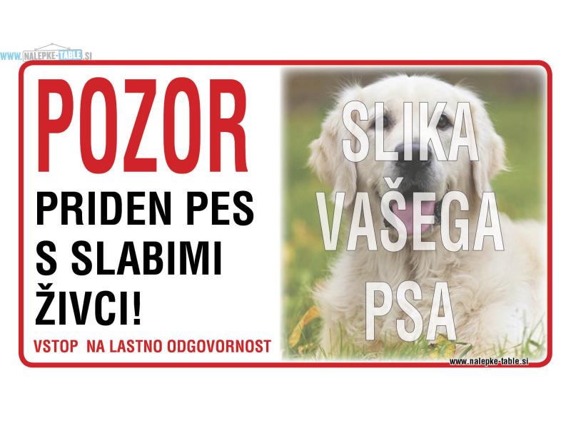 TABLICA PRIDEN PES S SLABIMI ŽIVCI