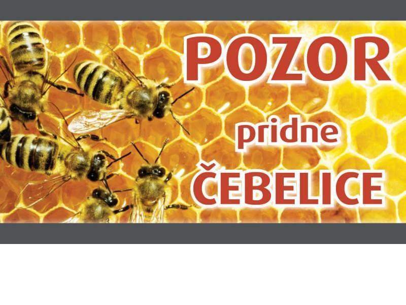 POZOR PRIDNE ČEBELE