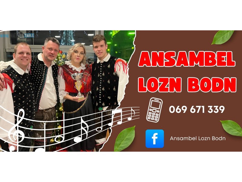 Promocijski transparent za ANSAMBEL