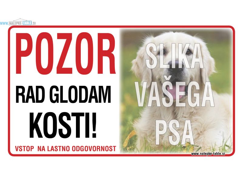 Rad glodam kosti