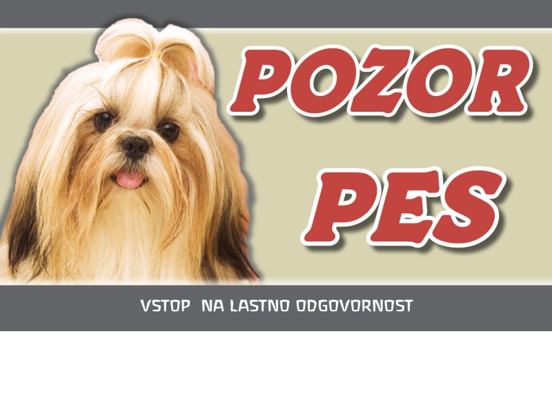 SHIH TZU tablica pes