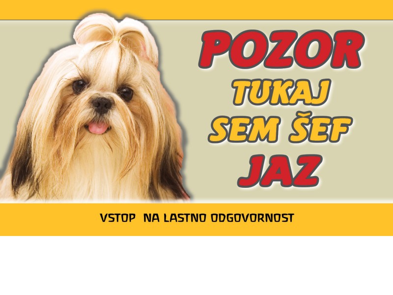 SHIH TZU tablica šef