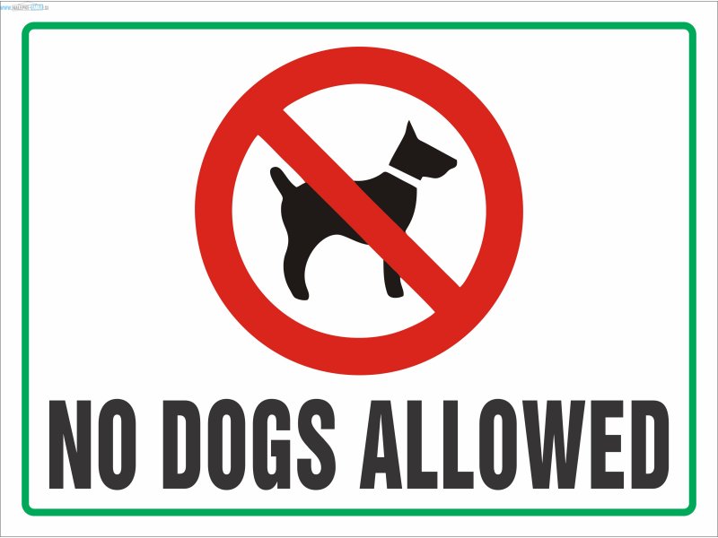 NO DOGS ALLOWED 