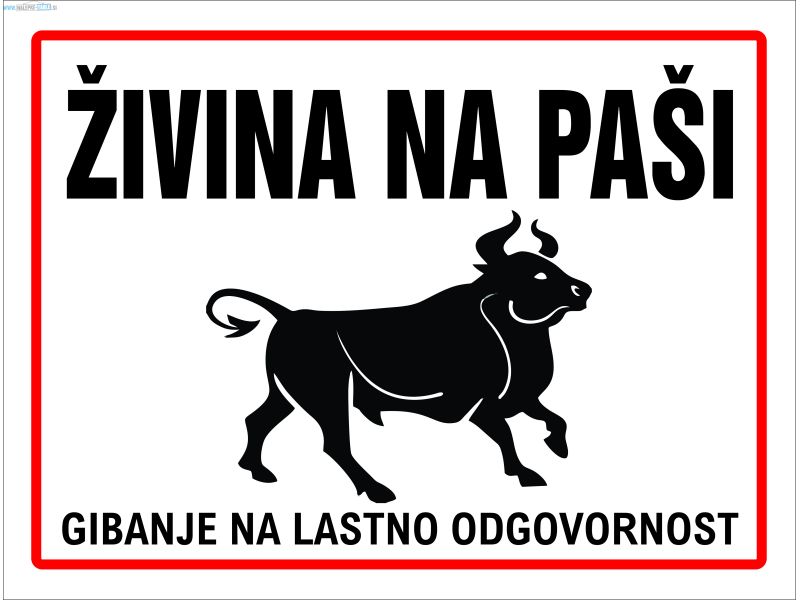 Živina na paši