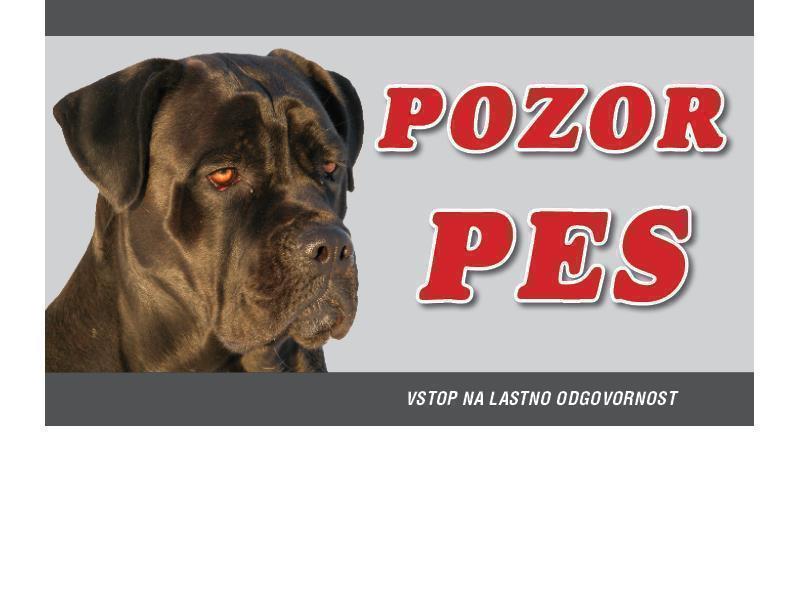 CANE CORSO