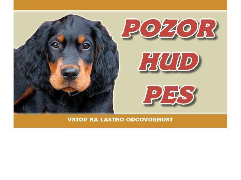 GORDON SETTER