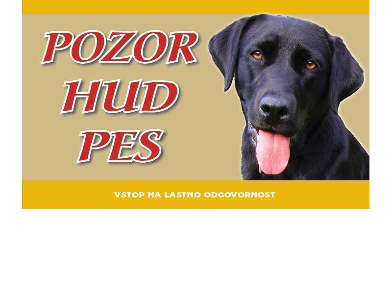 LABRADOREC ČRN