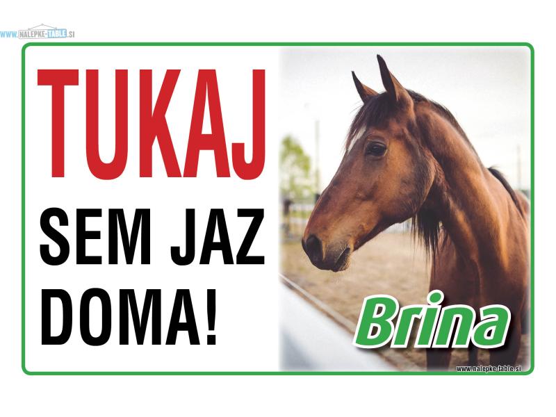 Tablica Konj TUKAJ SEM JAZ DOMA