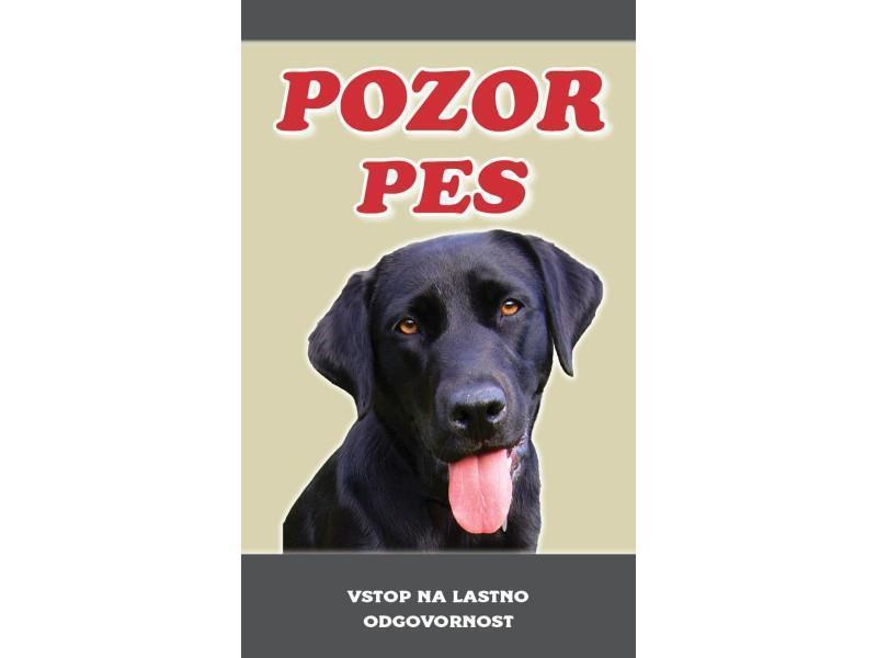 LABRADOREC ČRN PES