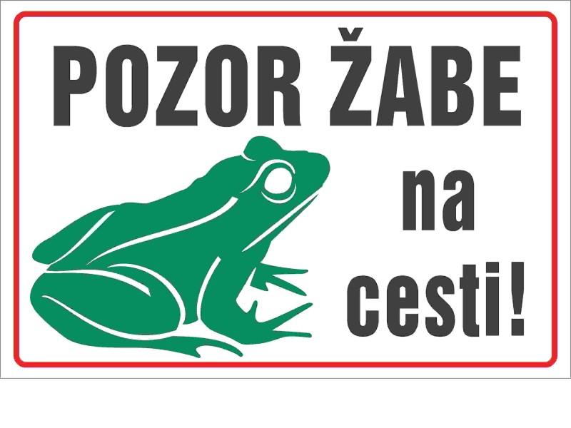 Žabe na cesti